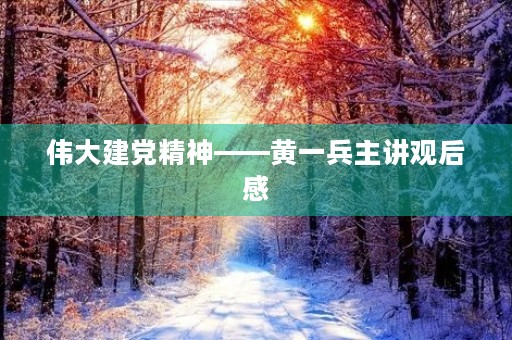 伟大建党精神——黄一兵主讲观后感