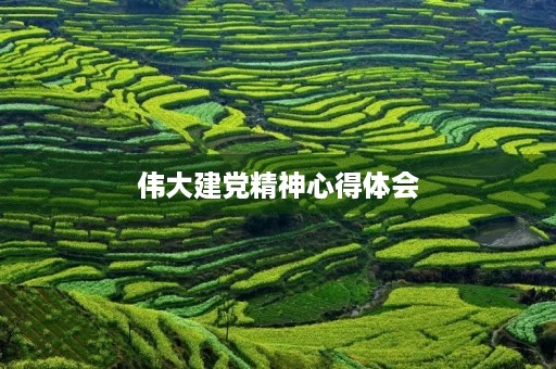 伟大建党精神心得体会，伟大建党精神感悟1000字