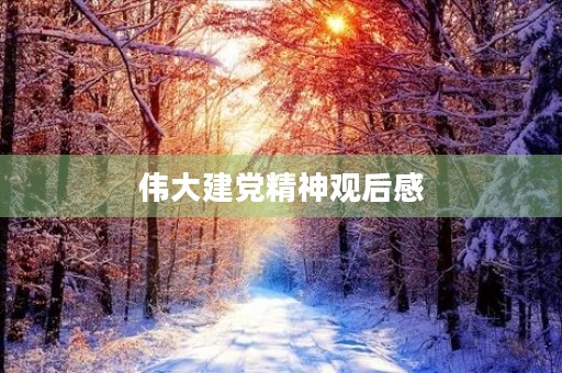伟大建党精神观后感