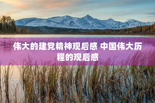 伟大的建党精神观后感 中国伟大历程的观后感