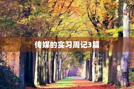 传媒的实习周记3篇 传媒的实习周记3篇