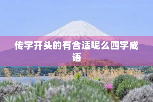 传字开头的有合适呢么四字成语