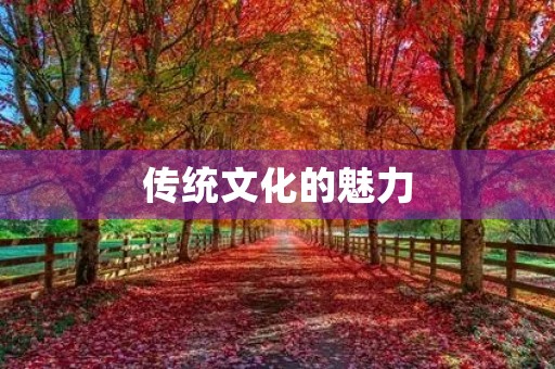 传统文化的魅力 传统文化的魅力