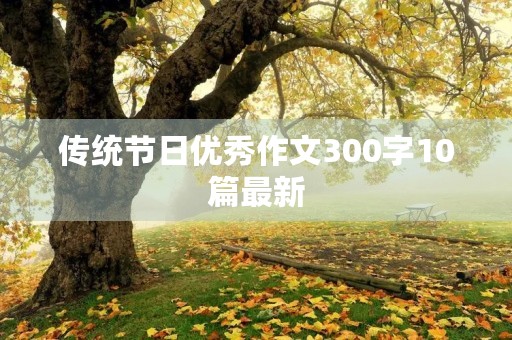 传统节日优秀作文300字10篇最新 传统节日优秀作文300字10篇最新