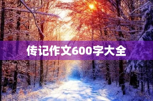 传记作文600字大全 传记作文600字大全