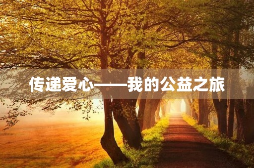 传递爱心——我的公益之旅