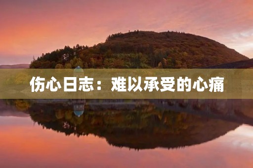 伤心日志:难以承受的心痛 伤心日志:难以承受的心痛