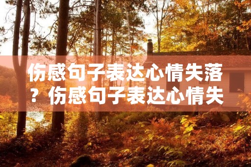 伤感句子表达心情失落？伤感句子表达心情失落的短句