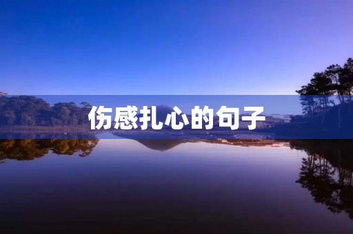 伤感扎心的句子，抖音签名伤感扎心的句子