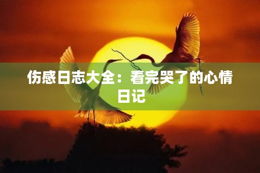 伤感日志大全：看完哭了的心情日记