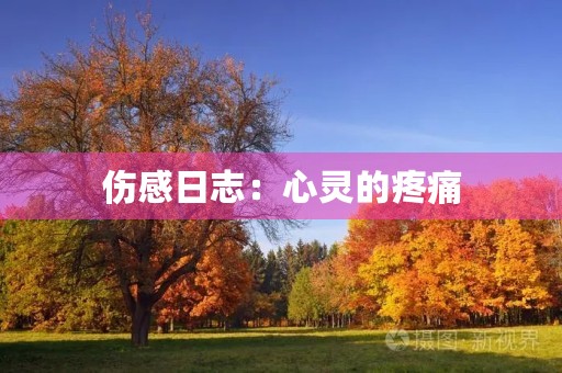 伤感日志:心灵的疼痛 伤感日志:心灵的疼痛