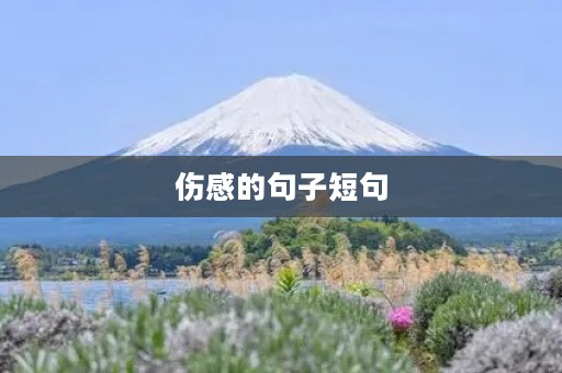 伤感的句子短句(比较伤感的句子短句)