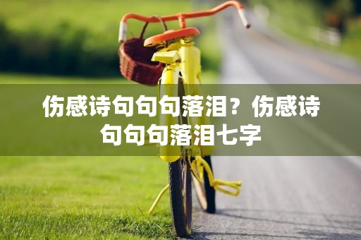 伤感诗句句句落泪？伤感诗句句句落泪七字