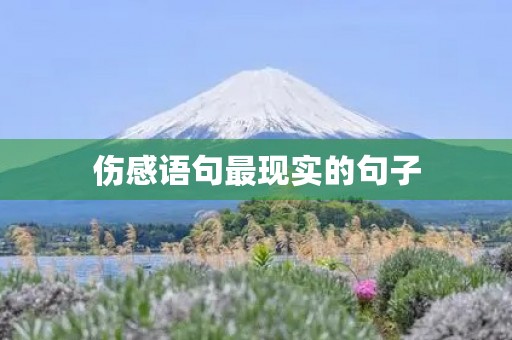 伤感语句最现实的句子,伤感语句最现实的句子友情 伤感语句最现实的句子,伤感语句最现实的句子友情