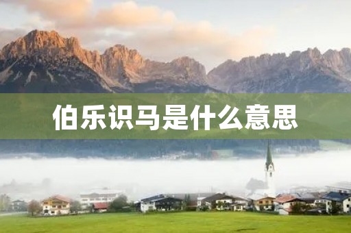 伯乐识马是什么意思 伯乐识马是什么意思