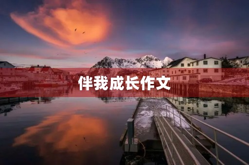 伴我成长作文