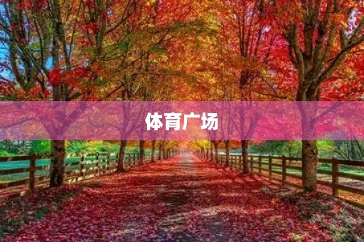 体育广场 体育广场