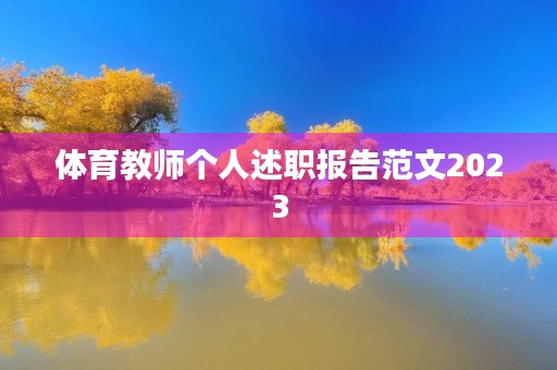 体育教师个人述职报告范文2023