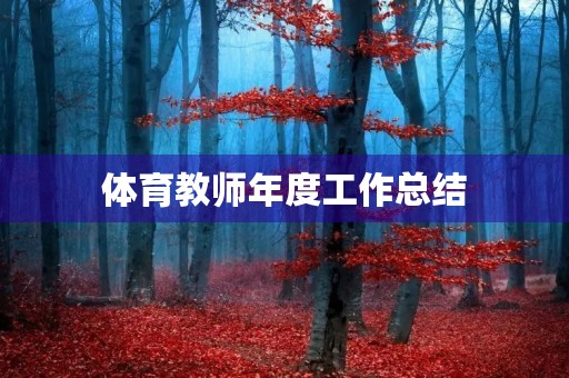 体育教师年度工作总结
