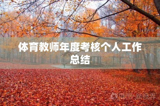 体育教师年度考核个人工作总结