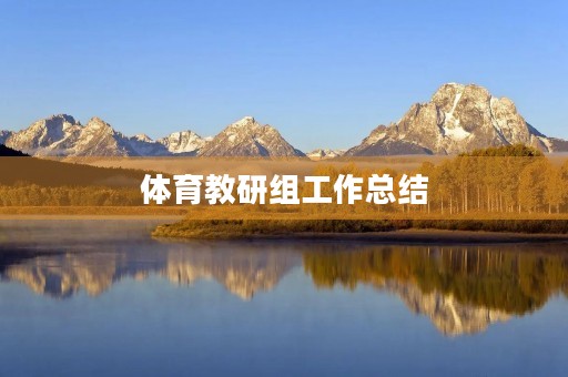 体育教研组工作总结