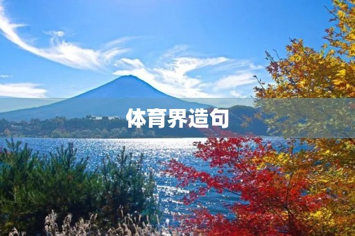 体育界造句