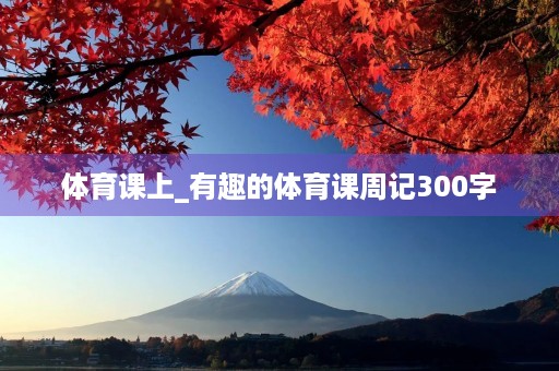 体育课上_有趣的体育课周记300字
