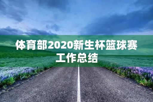 体育部2020新生杯篮球赛工作总结