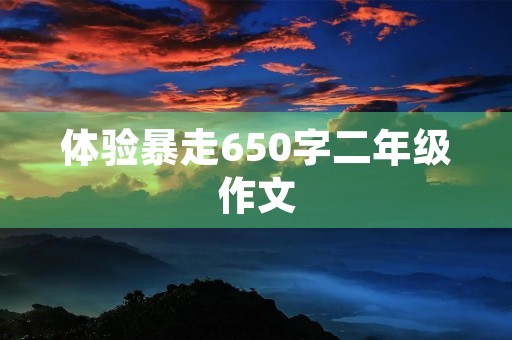 体验暴走650字二年级作文
