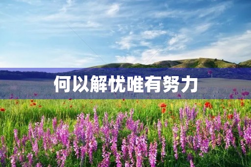 何以解忧唯有努力 何以解忧唯有努力