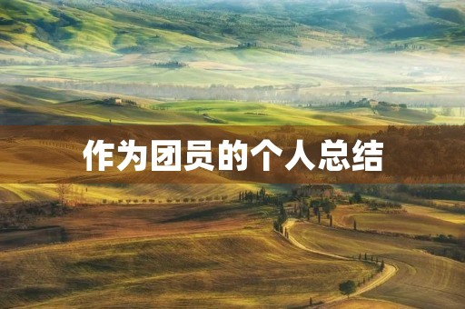 作为团员的个人总结