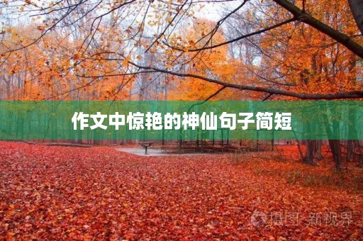 作文中惊艳的神仙句子简短 作文中惊艳的神仙句子简短