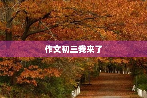 作文初三我来了 作文初三我来了