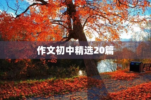 作文初中精选20篇 作文初中精选20篇