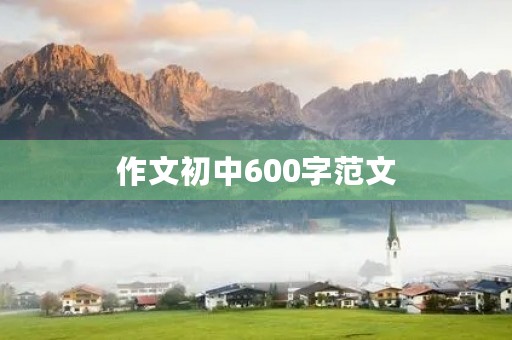 作文初中600字范文