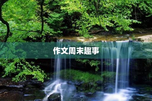 作文周末趣事 作文周末趣事
