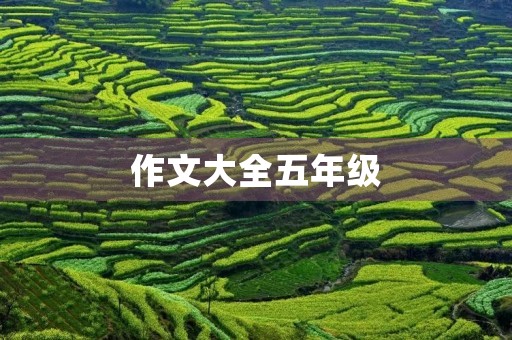 作文大全五年级 作文大全五年级