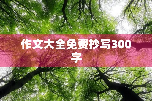 作文大全免费抄写300字