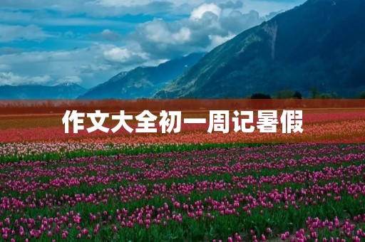作文大全初一周记暑假 作文大全初一周记暑假