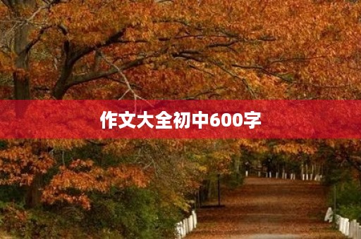 作文大全初中600字