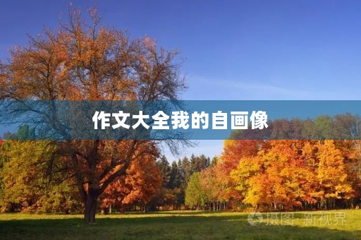 作文大全我的自画像 作文大全我的自画像