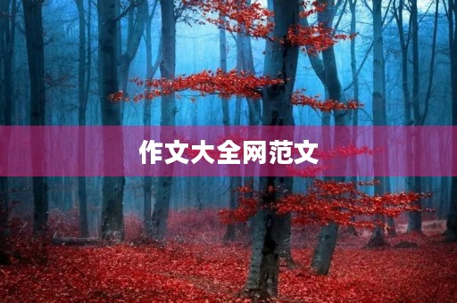 作文大全网范文