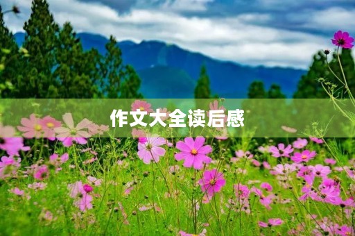 作文大全读后感 作文大全读后感