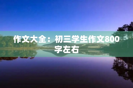 作文大全：初三学生作文800字左右