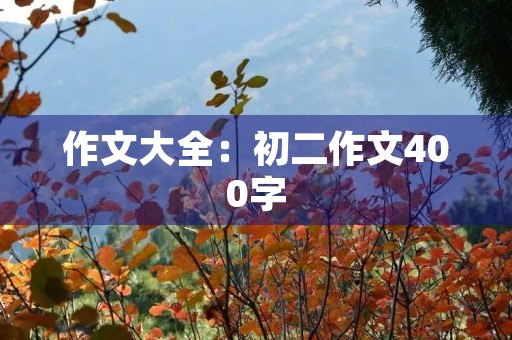 作文大全：初二作文400字