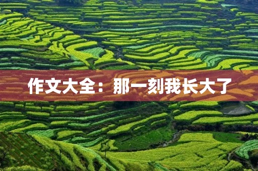 作文大全:那一刻我长大了 作文大全:那一刻我长大了