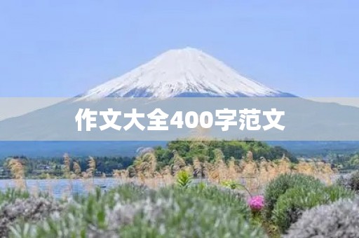 作文大全400字范文