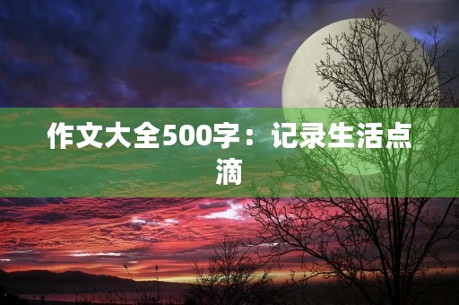 作文大全500字:记录生活点滴,传承美好文化 作文大全500字:记录生活点滴,传承美好文化