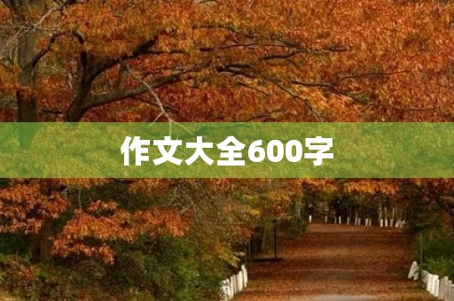 作文大全600字 作文大全600字