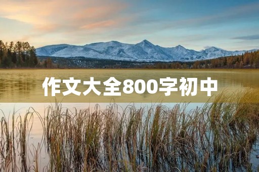 作文大全800字初中 作文大全800字初中